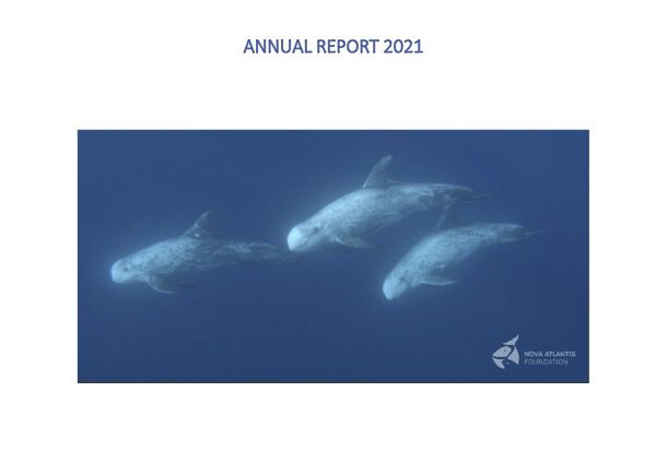 Annual report 2021