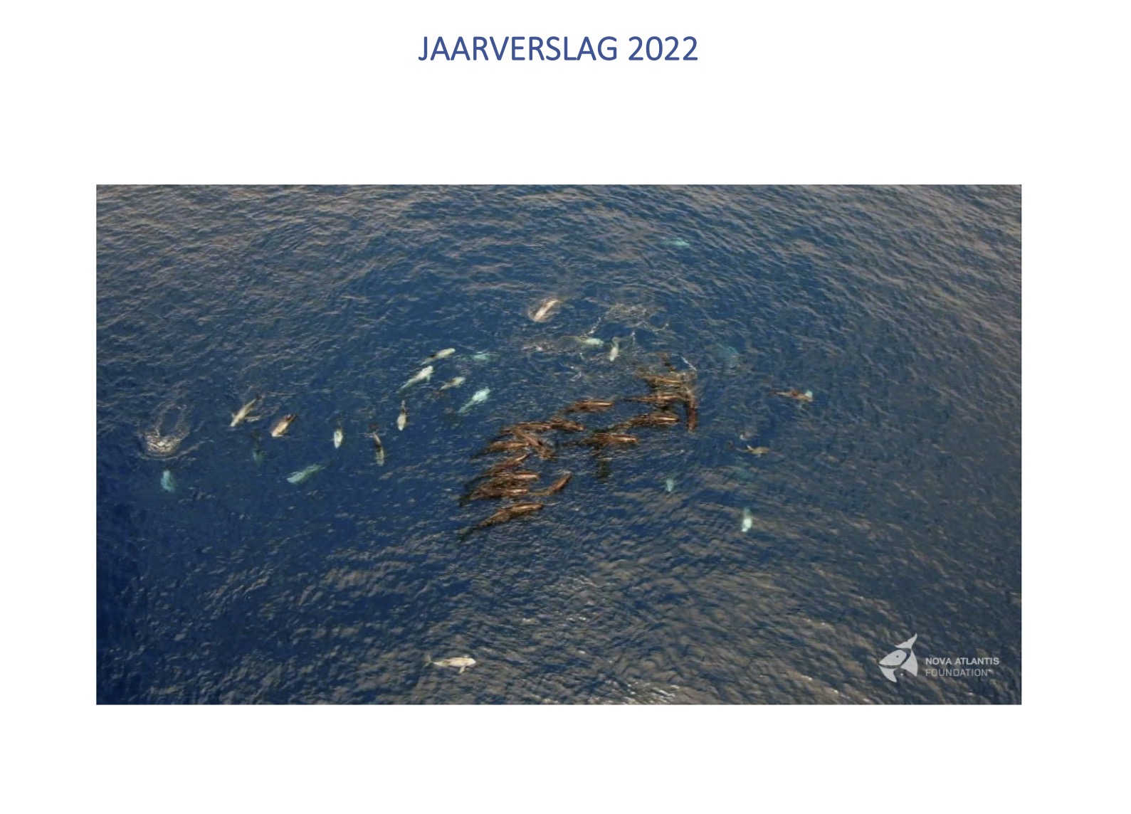 Jaarverslag 2022 NL