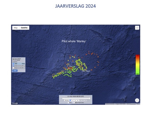 Jaarverslag 2024 NL copy