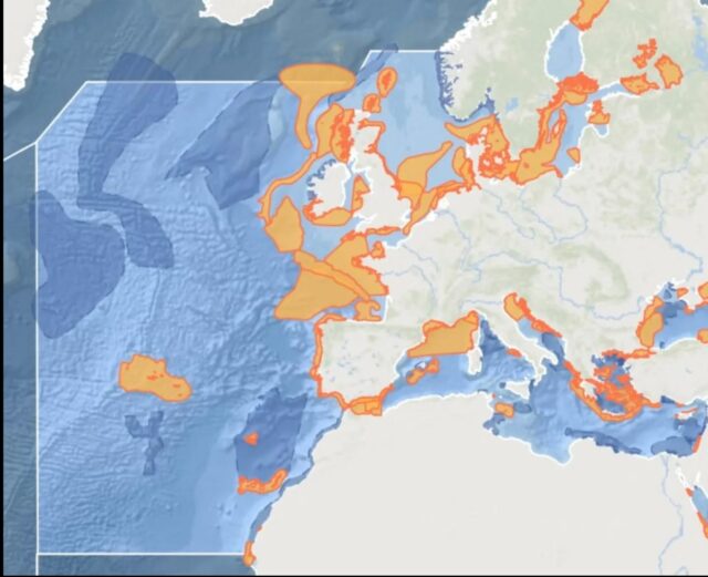 Important news!
Whereas a big part of our job is collecting data in the field, the ultimate purpose is to publish our findings in peer reviewed scientifc journals. We believe that through science we can enhance knowledge and help to conserve and protect the marine environment and its inhabitants.
Therefore today constituted a big milestone, with the announcement that 33 new IMMAs (Important Marine Mammal Areas) have been recognised, and one of them is the NE Atlantic Ocean!
In May 2023 we were invited by the NE Atlantic IMMA committee to add data during the proposal evaluation process, and we could use the Risso’s dolphin as a key species to indicate the importance of the area.
Based on our previous publications we could deliver “proof” that Risso’s dolphins are resident in the Azores, and that females use the coastal waters for nursing and calving. Also, we are dealing with an almost closed genetic population structure and Azorean Risso’s dolphins display distinct social behaviour. The IMMA status is an important step towards the conservation and protection of this unique European marine habitat, and our uninterrupted 24 years of fieldwork have made a meaningful contribution!
You can take a dive into the e-Atlas by clicking on the IMMA shapes on the map to learn more: marinemammalhabitat.org/imma-eatlas/
Read our news story here: https://www.marinemammalhabitat.org/immas-focus-the.../
#IMMA #important #marine #mammal #areas #status #eatlas #milestone #data #contribution #research #conservation #marinemammals #cetaceans #rissosdolphin
#grampusgriseus #population #focus #genetics #protection #atlantic #ocean #azores #pico #picoIsland #ribeirasbay #photooftheday #natgeo #natgeowild #keepongramping