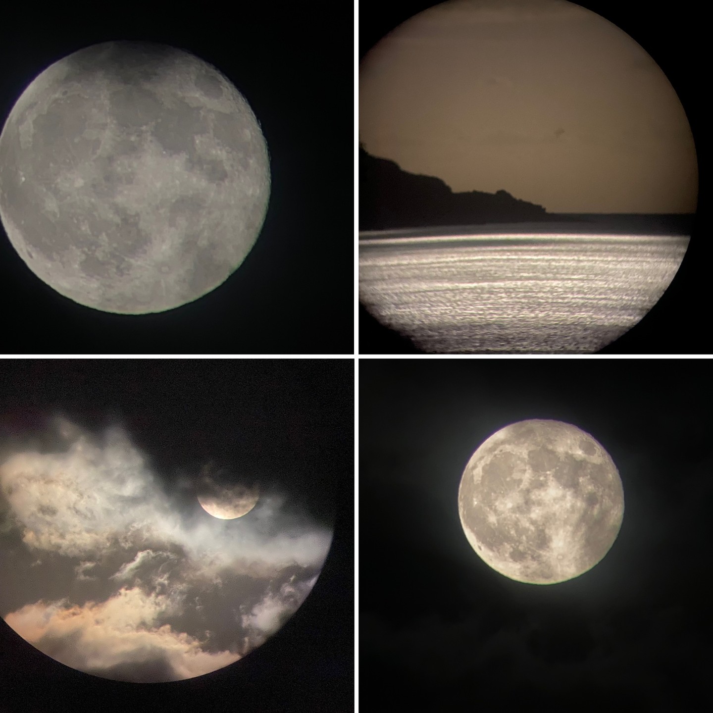 It’s done……we made the last trip of the 2024 season, packed our stuff just after the full moon, closed the station, and changed worlds.
Time to reflect on the hottest summer ever: We made 102 surveys in 4 months and 4 days. A total of 270 hours spent at sea and countless hours scanning and searching from land. We crossed 2,580 km of water and saw animals during every trip. At sea, we identified 159 groups of our key species, the Risso’s dolphin (a minimum of 1,176 and a max of 1,329 animals counted). These number may look impressive but around a third of all sightings concerned our resident males from the IKB group. Overall, we see less nurseries in summertime and merely encounter the same groups with very few variations. Over the winter we will work out our data and hand over our report to DRAM, the local entity that provides us with the research permit. #marinebiology #cetaceans #fullmoon #fieldworkers #fieldwork24 #25thseason #grampus #longtermresearch #mpa #conservation #azores #pico #atlanticocean