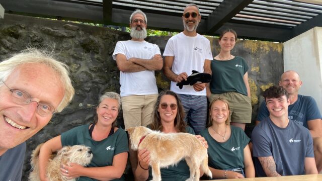 Aighh… we lost contact with Marley after 124 days of tracking!
Donnie is our last Gmac running and circling the southern waters of Madeira.

Time to thank all volunteers, interns, local vigia’s, guides, skippers and the visiting researchers for their efforts to make this campaign a success and to keep our overall fieldwork running!!

PS Sorry @debbyopreis for not having a head.. its the day after Halloween...

#fieldwork2024 
#thanks 
#azores 
#pico 
#atlanticocean