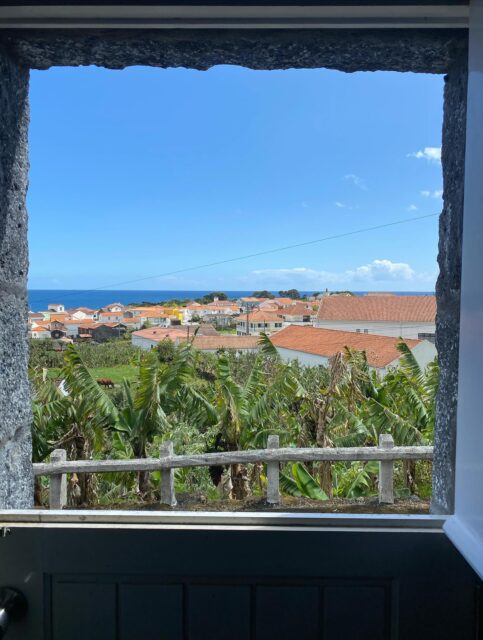 Views with blue skies!  #backonpico #fieldworkresearch #fieldwork2025 #rissoproject #novaatlantisfoundation #azores #picoisland #midatlantic #atlanticocean #europe #landsurvey #landsurveying #dataisdata