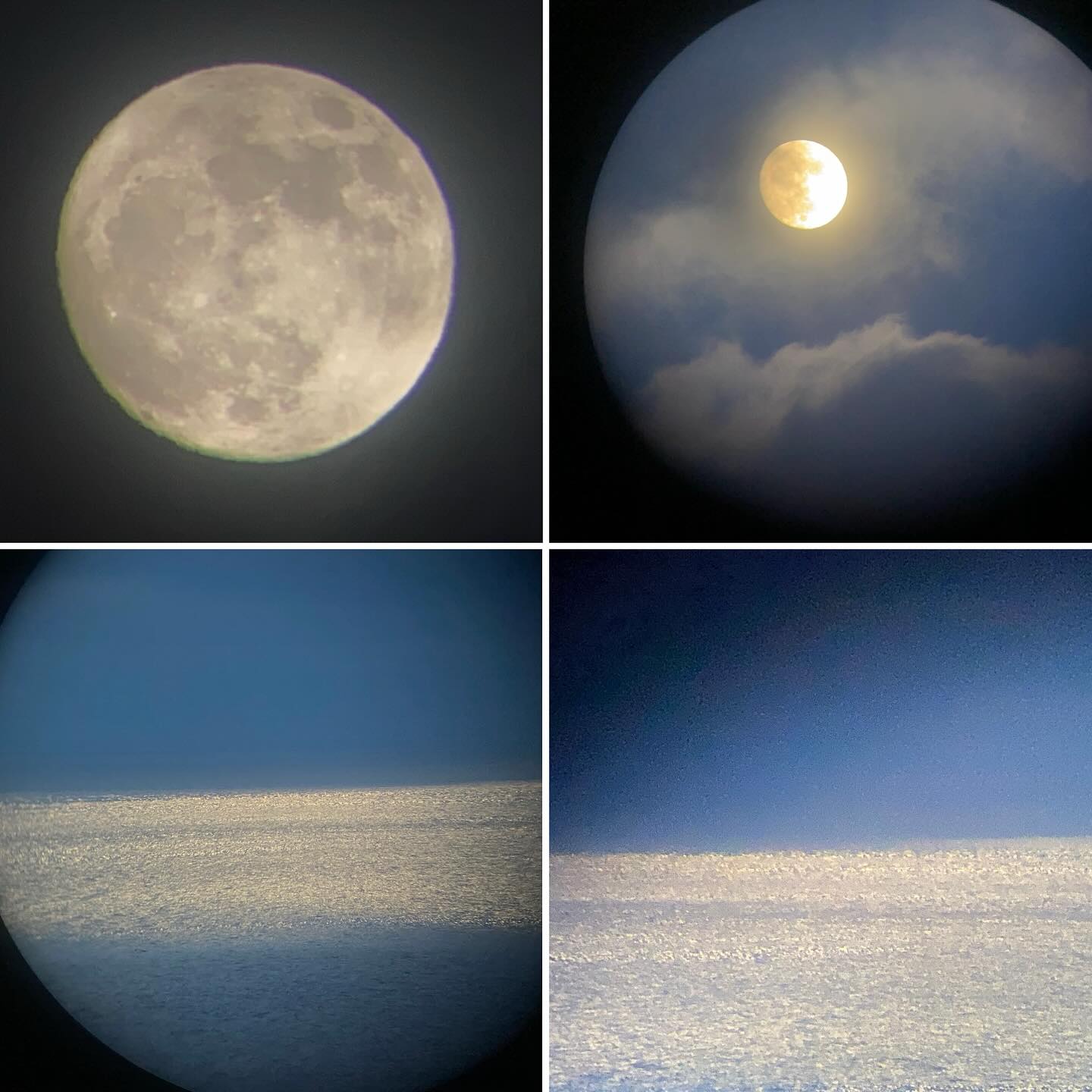 Let’s see if the pilot whales invasion will take place during and after the strawberry June moon..
##almostfullmoon🌔 #stawberrymoon #june #migration #squid #intothewild #intothelight #oceanicmigrations #dayandnight #deepseadiver #globicephala #grampusgriseus #fieldworkresearch #binoculars #dailysurveys #gottolovethemoon