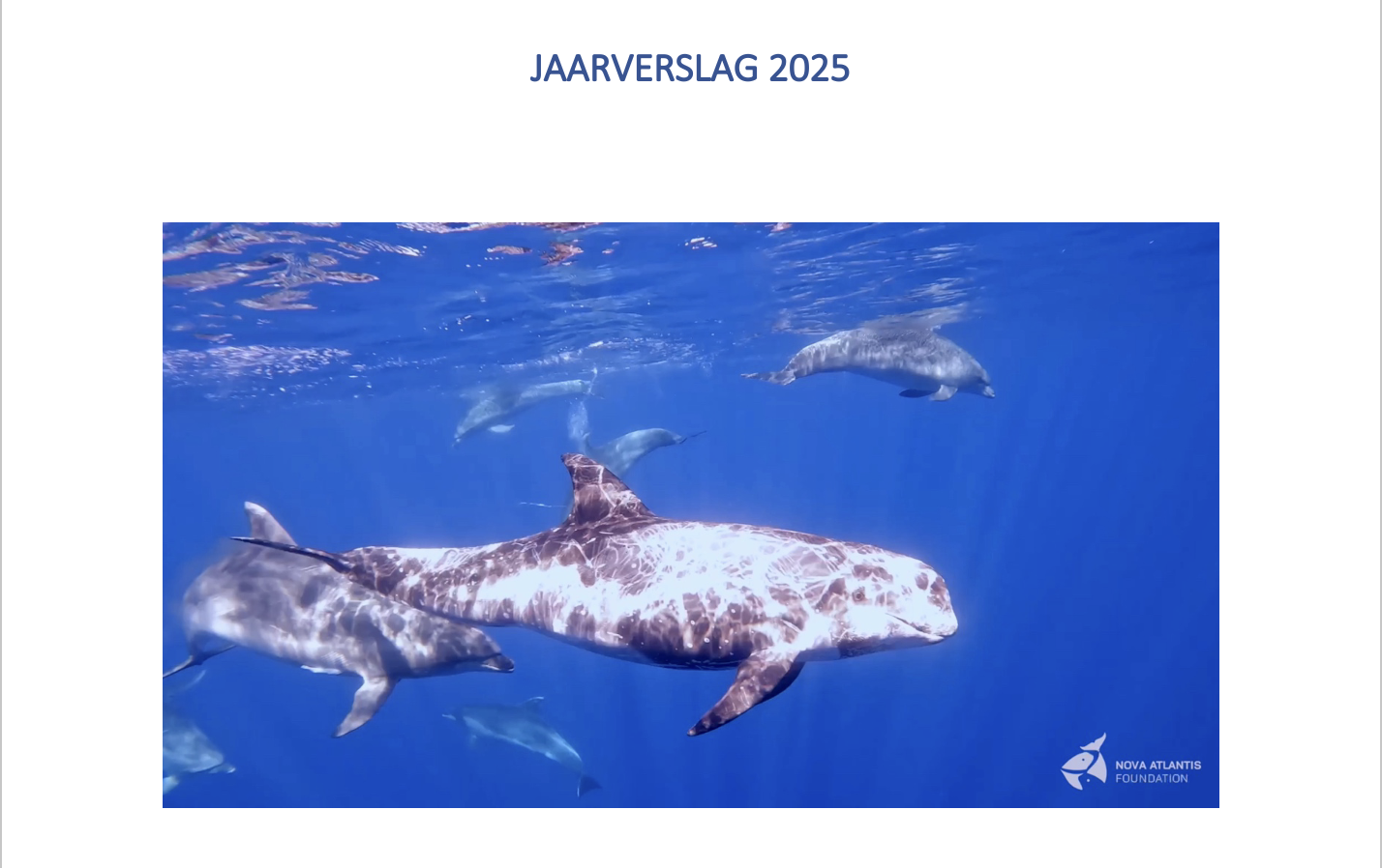 Jaarverslag 2025 foto